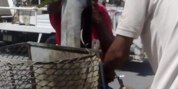 صيانة الكابلات المغذية لاعمدة الإنارة بشارع أنور السادات وحى الزهراء بالقصير 2 - جريدة المساء صيانة الكابلات المغذية لاعمدة الإنارة بشارع أنور السادات وحى الزهراء بالقصير 1 - جريدة المساء