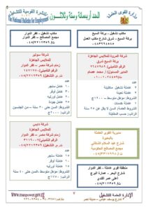 القوى العاملة: 1931 وظيفة تنتظرك بمرتبات من 1200جنيه إلي 3750 جنيها 77 - جريدة المساء