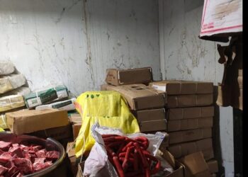 ضبط ٤ إطنان لحوم ودواجن فاسده بالشرقية 19 - جريدة المساء