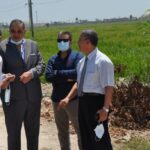 رئيس جامعة كفرالشيخ يتفقد كليتي التربية والطب البيطري استعدادا للعام الدراسي الجديد 25 - جريدة المساء