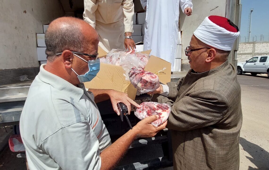 أوقاف الإسكندرية تتسلم الدفعة العاشرة من لحوم الأضاحي 20 - جريدة المساء أوقاف الإسكندرية تتسلم الدفعة العاشرة من لحوم الأضاحي 19 - جريدة المساء