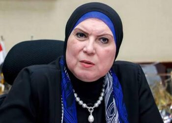 ٢١ ٪ زيادة فى صادرات مصر إلى فرنسا 35 - جريدة المساء