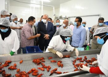 محافظ قنا يتابع سير العمل بخط فرز وحفظ وتجميد الأسماك والاستاكوزا النيلة بمنطقة قفط الصناعية 21 - جريدة المساء