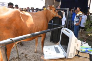 بالصور .. وزير الزراعة ومحافظ قنا يتفقدان أعمال القافلة البيطرية المجانية بقرية المراشدة 41 - جريدة المساء