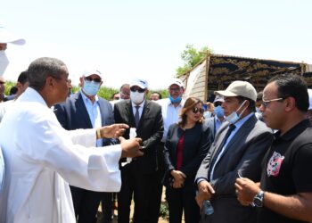 بالصور.. وزير الزراعة ومحافظ قنا يتفقدان حقولًا زراعية بنظام الرى الحديث بنجع حمادي 28 - جريدة المساء