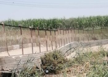 ارتفاع منسوب نهر النيل يتسبب فى انهيار كوبرى "الحمودى" بقنا 19 - جريدة المساء