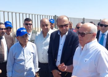 المحافظ ونائب رئيس الهيئة الاقتصادية يتفقدان المرحلة الأولى للمنطقة الصناعية بشرق بورسعيد 21 - جريدة المساء