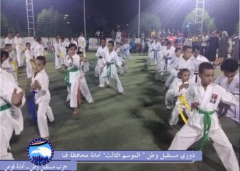 انطلاق دورى "مستقبل وطن" في نسخته الثالثة بمركز قوص .. بقنا 23 - جريدة المساء