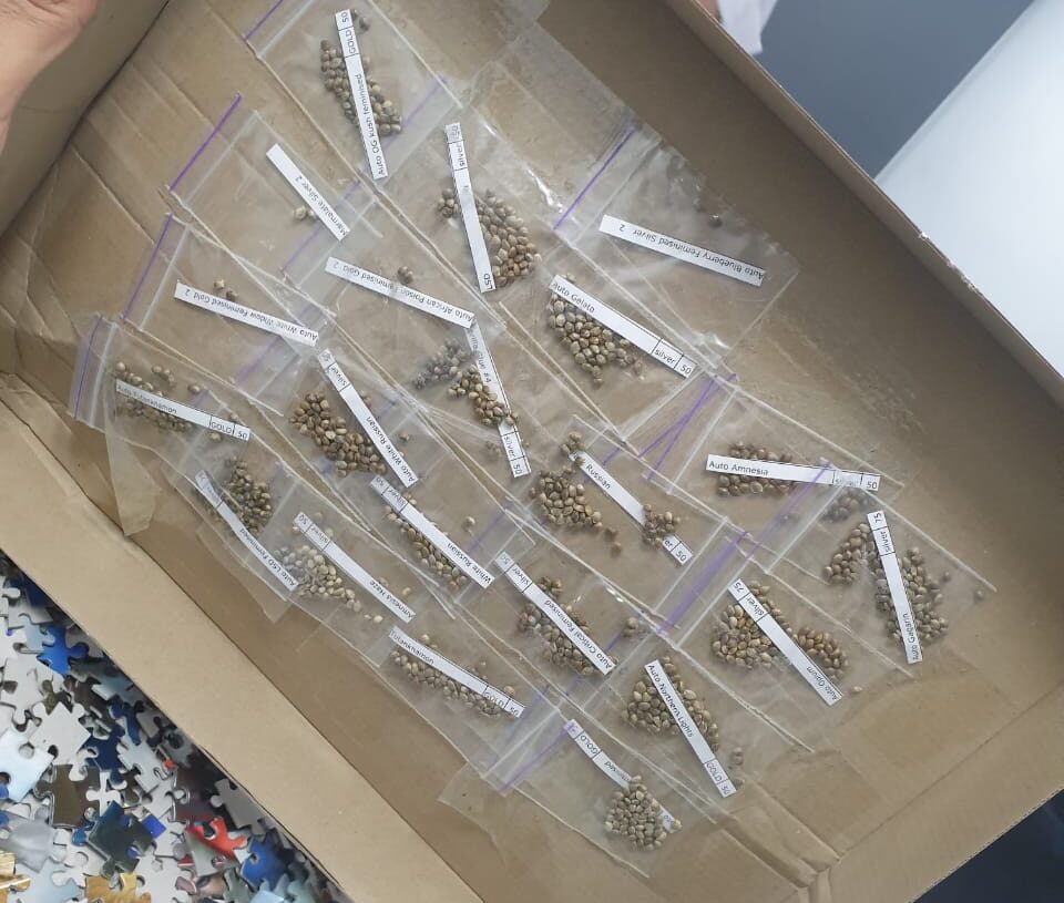 ضبط 3 محاولات تهريب لمواد مخدرة بجمارك الطرود البريدية بمطار القاهرة 17 - جريدة المساء