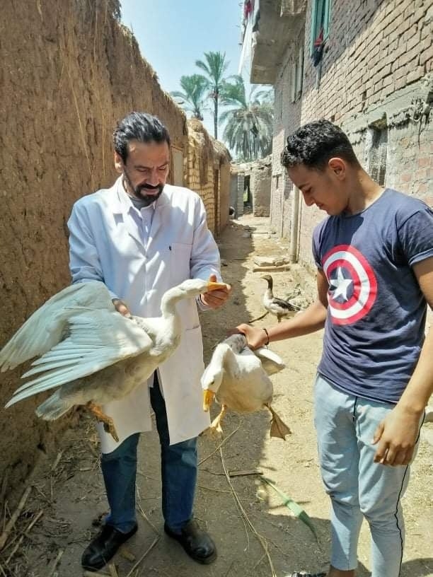 جامعة الزقازيق تنظم قافلة بيطرية بقرية "الشيخ مبارك" 18 - جريدة المساء