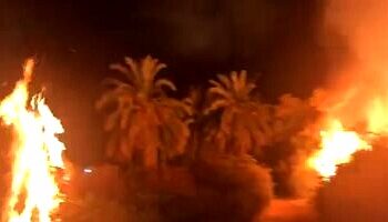 الحماية المدنية تدفع ب٣ سيارات لإخماد حريق مزرعة نخيل بالوادى الجديد 26 - جريدة المساء