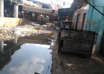 سمك سوق الجمعة بالاسماعيلية .. يعوم فى مياه المجارى 30 - جريدة المساء