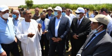 أخيراً.. زراعة القصب بالرش والتنقيط والطاقة الشمسية 1 - جريدة المساء