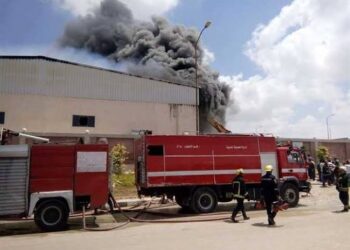 اخماد حريق فى نخيل فرشوط 17 - جريدة المساء