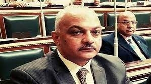 برلماني يتقدم بطلب لانشاء مستشفي للأطفال في أسوان 23 - جريدة المساء