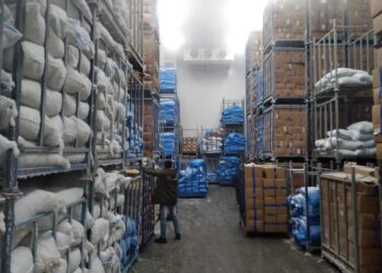 حمله تموينيه موسعه بالاسكندريه 33 - جريدة المساء