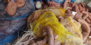 ضبط سجق فاسد بالاسماعيلية 2 - جريدة المساء ضبط سجق فاسد بالاسماعيلية 1 - جريدة المساء