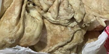 ضبط سجق ولحم متبل ودهون حيوانية فاسدة بالعبور 1 - جريدة المساء