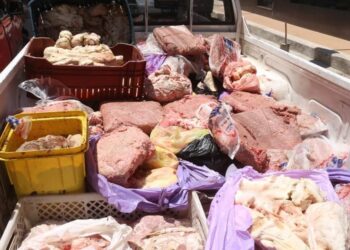 لحوم غير صالحة للاستهلاك فى ثلاجة بدمياط 23 - جريدة المساء