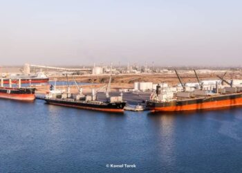 رصيد الحبوب للقطاع العام بميناء دمياط 47171 طنًا .. ورصيد القطاع الخاص 998 طنًا 23 - جريدة المساء