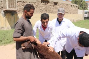 ضمن مبادرة "حياة كريمة".. جامعة جنوب الوادي تنظم قافلة متعددة التخصصات بقرية "هو" بنجع حمادي 21 - جريدة المساء