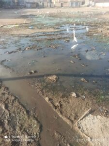 المجارى أغرقت "غزالي" الشرقية 21 - جريدة المساء