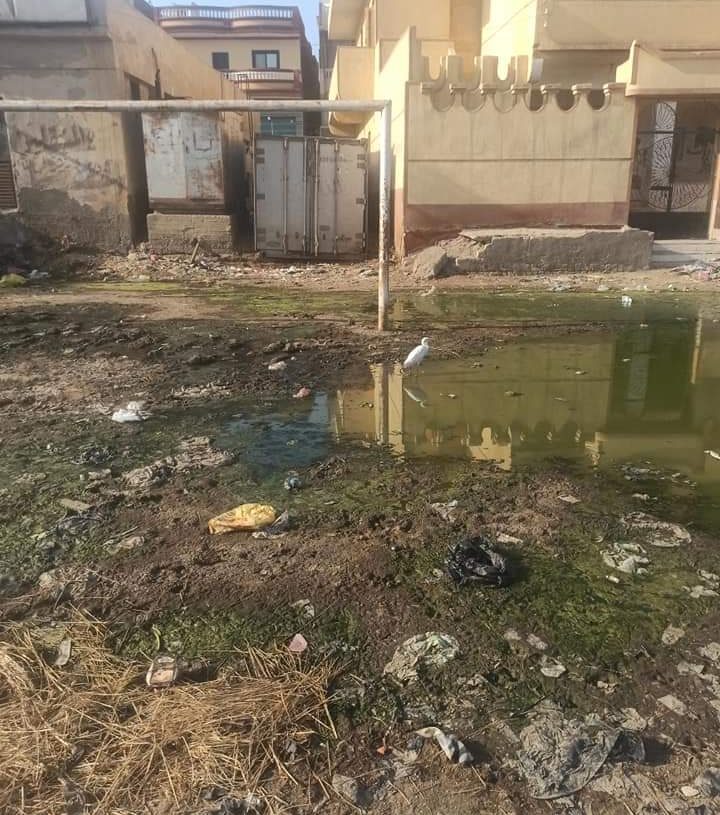 المجارى أغرقت "غزالي" الشرقية 19 - جريدة المساء