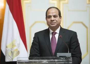 المنظمة المصرية لإدارة الأزمات تشيد بمبادرة الرئيس لحقوق الإنسان 23 - جريدة المساء