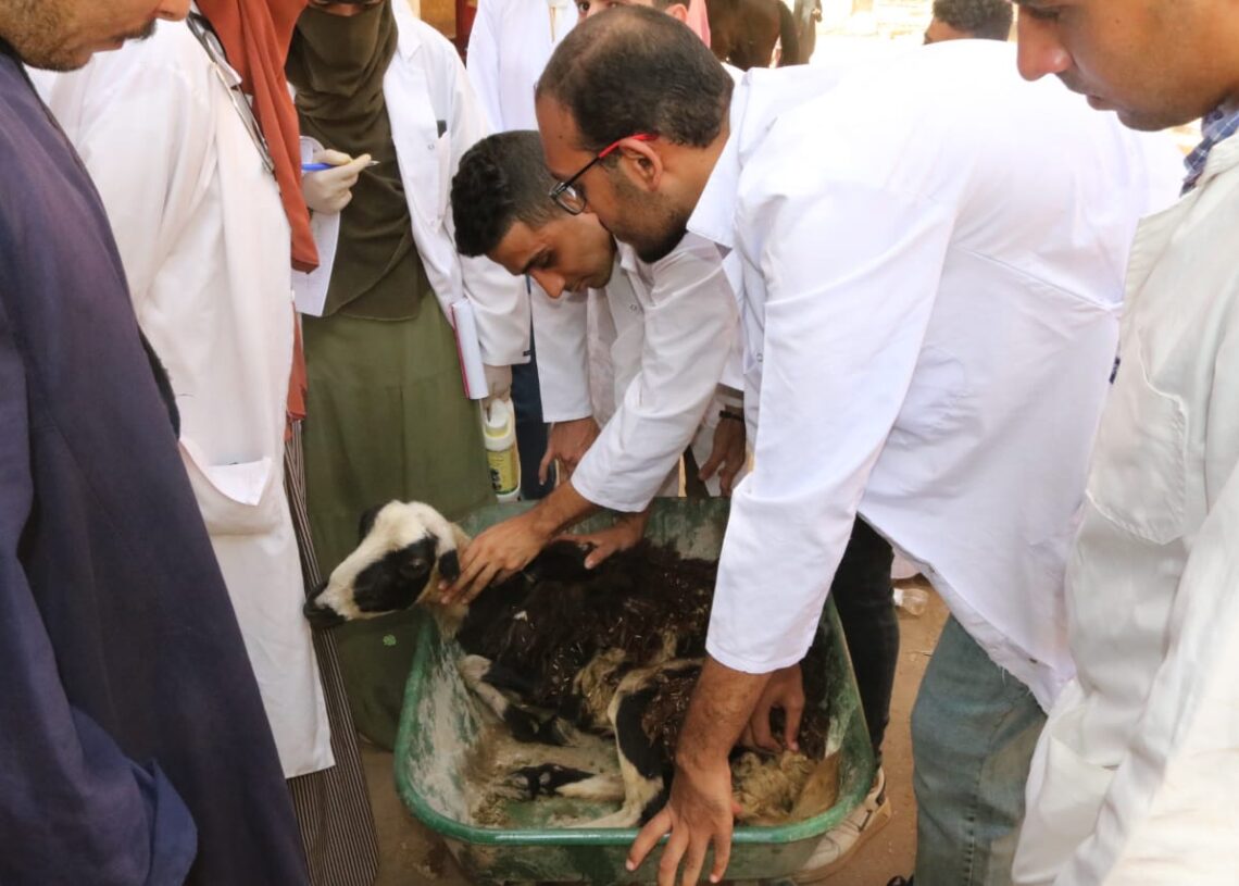بالصور .. خدمات متنوعة لقافلة جنوب الوادى بقرية الصبريات بدشنا 19 - جريدة المساء بالصور .. خدمات متنوعة لقافلة جنوب الوادى بقرية الصبريات بدشنا 18 - جريدة المساء