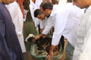 بالصور .. خدمات متنوعة لقافلة جنوب الوادى بقرية الصبريات بدشنا 35 - جريدة المساء بالصور .. خدمات متنوعة لقافلة جنوب الوادى بقرية الصبريات بدشنا 34 - جريدة المساء