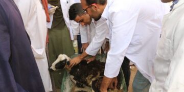 بالصور .. خدمات متنوعة لقافلة جنوب الوادى بقرية الصبريات بدشنا 2 - جريدة المساء بالصور .. خدمات متنوعة لقافلة جنوب الوادى بقرية الصبريات بدشنا 1 - جريدة المساء