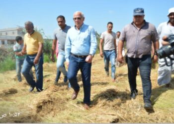 محافظ بورسعيد : ارتفاع انتاجية طن الارز الي ٤،٧ طن 19 - جريدة المساء