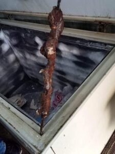 غلق مطعمين للمشويات بالزقازيق لتقديمهما مأكولات غير مطابقة للإشتراطات الصحية 21 - جريدة المساء