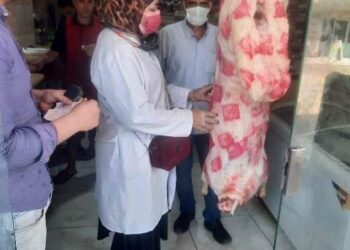 بيطري الشرقية يضبط ٦ أطنان لحوم ودواجن غير صالحة للاستهلاك 20 - جريدة المساء