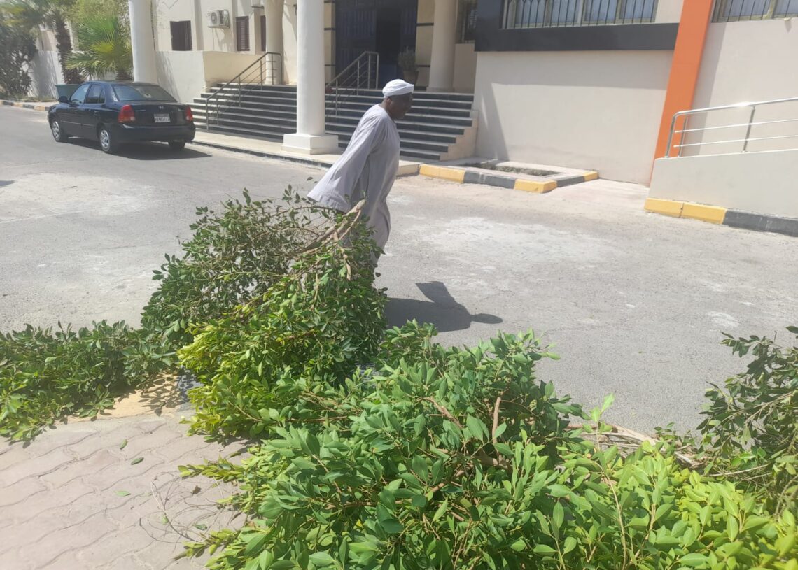 استمرار أعمال صيانة الأسوار وقص وتهذيب الأشجار بمدينة سفاجا 17 - جريدة المساء