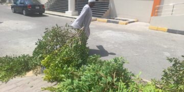 استمرار أعمال صيانة الأسوار وقص وتهذيب الأشجار بمدينة سفاجا 1 - جريدة المساء