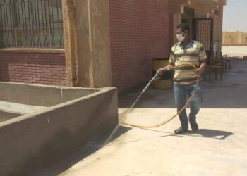 زراعة البحر الأحمر تواصل حملاتها لمكافحة القوارض والزواحف.. صور 31 - جريدة المساء