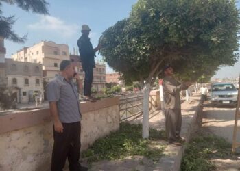 الحسينيه تتزين لعيد الشرقية القومي 19 - جريدة المساء