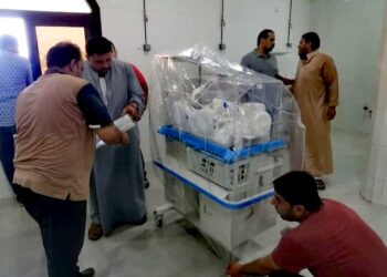 محافظ كفر الشيخ يشيد بشباب قرية محلة دياى لدعمهم مركز الحضانات للأطفال 19 - جريدة المساء