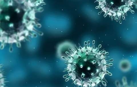 أبحاث جديدة: فيروس (دلتا) يزداد شراسة وفي تحول مستمر!! 17 - جريدة المساء