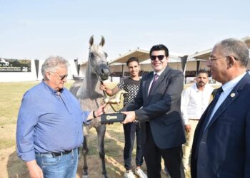مجسمات لحصان جامح جوائز للفائزين فى مسابقة جمال الخيول العربية بمهرجان الشرقية الخامس والعشرون 33 - جريدة المساء