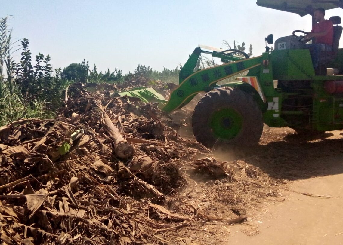 الدقهلية تواصل تنفيذ حملات إزالة التعديات على أراضى الدولة 17 - جريدة المساء