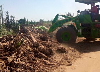 الدقهلية تواصل تنفيذ حملات إزالة التعديات على أراضى الدولة 28 - جريدة المساء