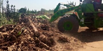 الدقهلية تواصل تنفيذ حملات إزالة التعديات على أراضى الدولة 1 - جريدة المساء