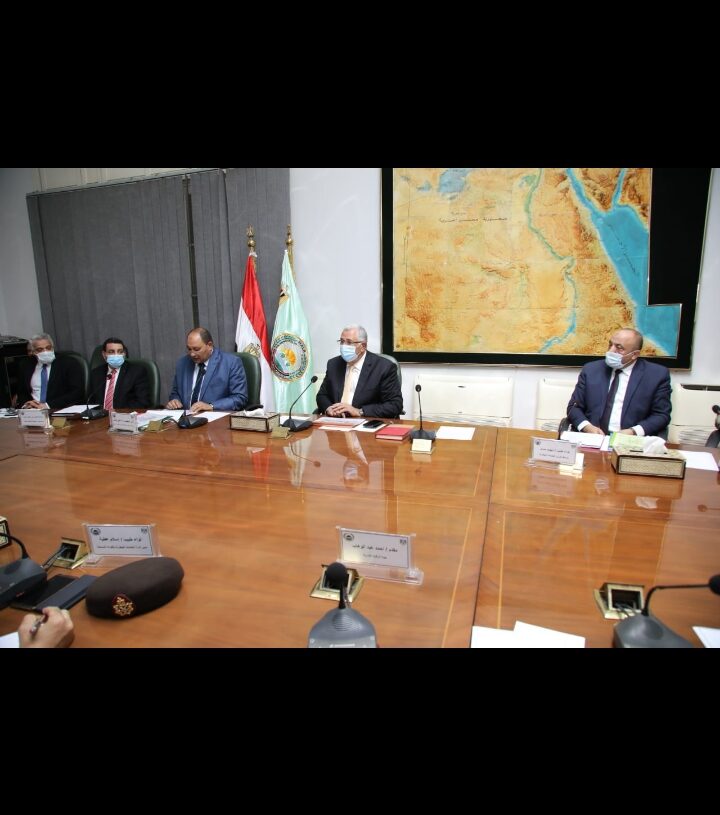 لأول مرة. التلقيح الاصطناعى للحفاظ على الأصول الوراثية للخيول المصرية الأصيلة 17 - جريدة المساء