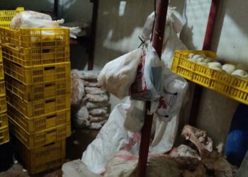 الزراعة": ضبط أكثر من 184 طن لحوم ودواجن واسماك غير صالحة للاستهلاك الآدمي وذبح خارج المجازر خلال شهر سبتمبر 35 - جريدة المساء