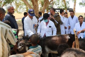 بالصور .. جامعة جنوب الوادى تطلق قافلة شاملة لقرية "الحاج سلام" بمركز فرشوط 21 - جريدة المساء