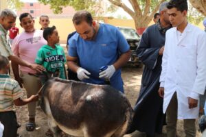 بالصور .. جامعة جنوب الوادى تطلق قافلة شاملة لقرية "الحاج سلام" بمركز فرشوط 23 - جريدة المساء