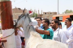 جامعة جنوب الوادي تواصل إطلاق القوافل الشاملة ضمن مبادرة "حياة كريمة" 25 - جريدة المساء