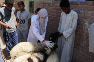 إقبال كبير على قافلة جامعة جنوب الوادي بقرية الشويخات بالاشراف البحرية 37 - جريدة المساء إقبال كبير على قافلة جامعة جنوب الوادي بقرية الشويخات بالاشراف البحرية 36 - جريدة المساء